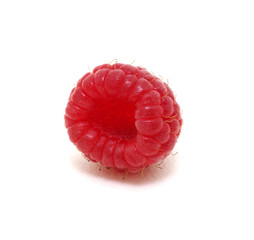  raspberry isolated on white