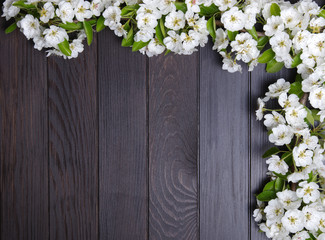 Spring  flower on wood