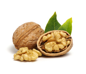 Walnuts with leaves