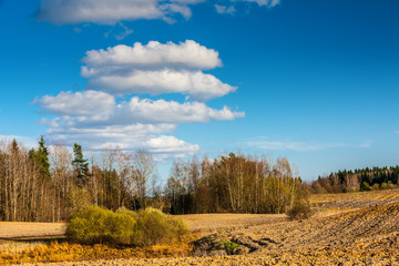 wiosna na polach Warmii © Janusz Lipiński