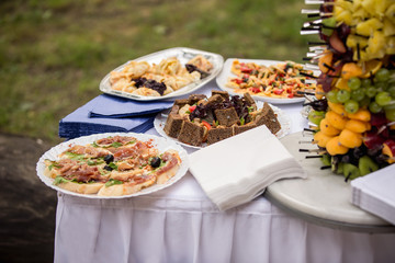 Street food, canape on table, catering service