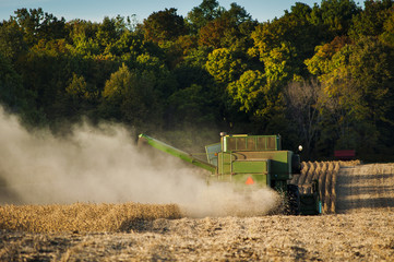 Soybean Harvest Midwest America