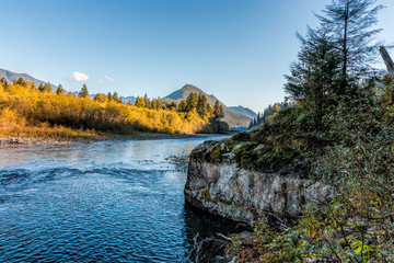 Quinault River with Fall Colors from South Shore Road Olympic National Park