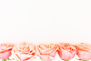 Bouquet of peach roses on white background. Flat lay, top view. Floral frame