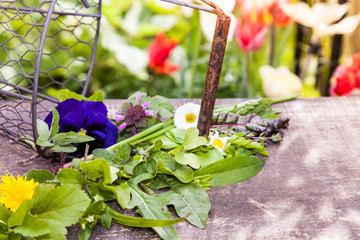 Frisch geerntete Wildkräuter aus dem eigenen Garten