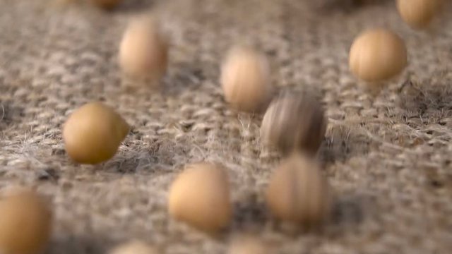 Slow motion. Large grains of peas roll on the camera. Slides from large chickpeas