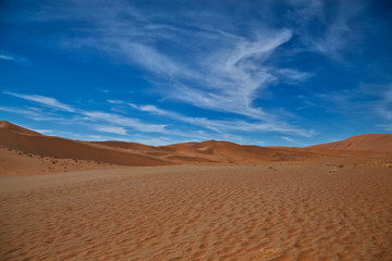 Fototapeta na wymiar Hidden Vlei, Sossus Dunes, Namibia
