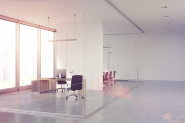 Glass CEO office, toned