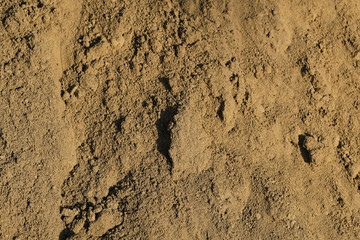 ground sand with sunlight