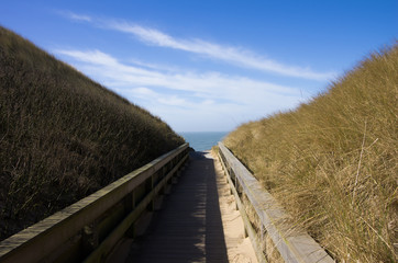 Holzpfad