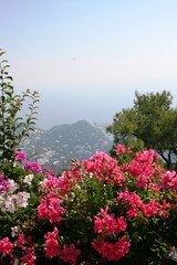 view over capri