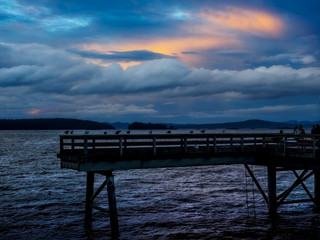 Fototapeta premium Wooden fishing pier extending from the shore into the ocean. Sidney BC, Vancouver Island