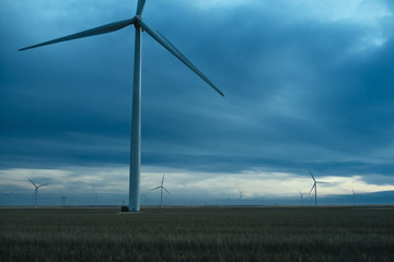 Stormy Skies on a Colorado Wind Farm