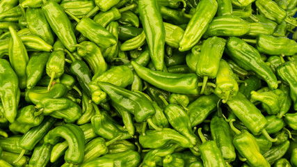 green peper chili. background