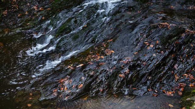 Small waterfalls of the mountain creek Tro Maret running over slate rock in the Ardennes, Belgium with some brown old leaves.