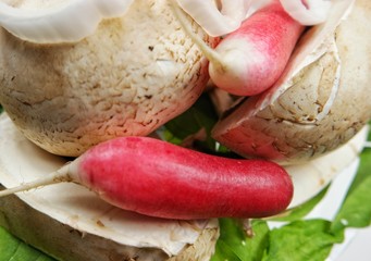 Spring still life from fresh vegetables
