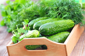 Fresh cucumbers for salad