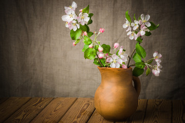 Branch of a blossoming apple-tree in a clay pitcher, close-up