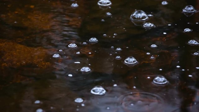 Bubbles on the brown water of the mountain creek Tro Maret in the Ardennes, Belgium. The water is brown due to the high amount of peat in the area.