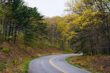 Fototapeta premium Spring color along the Blue Ridge Parkway in Virginia.