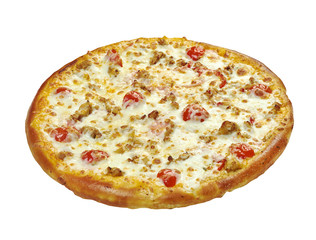 Pizza with mozzarella, chedar and tomatoes. close up
