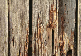 rundown wooden planks