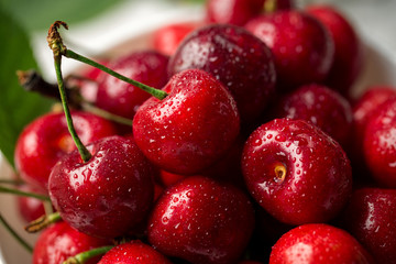 Red, ripe, juicy cherries, water drops, close up.