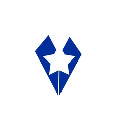 initial letter V with star purple color