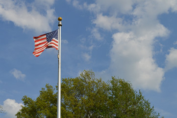 American flag waving in the breeze in front of blue sky and green tree.