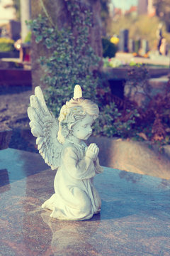  Little Angel On Grave