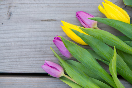 yellow and violet tulips on wooden ground