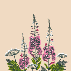 Card with forest and meadow plants. Angelica, fern, fireweed. Flowering plants. Summer theme. Vector illustration.