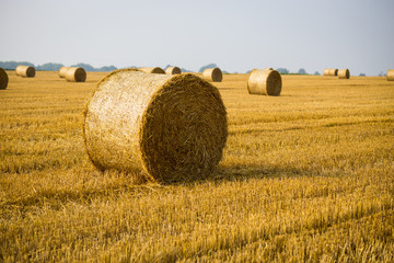 Rolls of haystacks on the field. Summer farm scenery with haystack on the Background of beautiful sunset. Agriculture Concept.Harvest concept