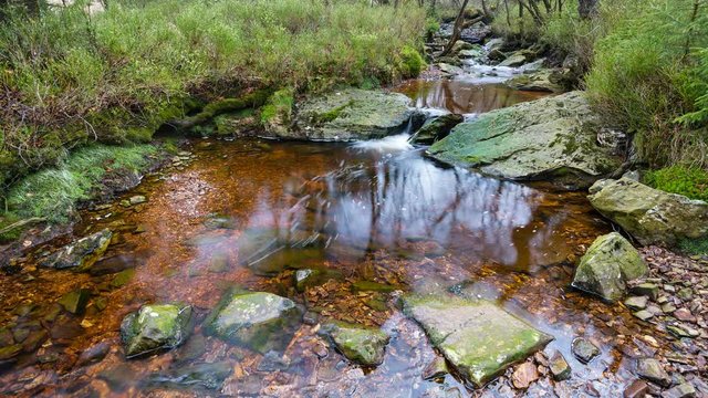 Timelapse sequence of a small waterfall and lake in the forest of the Tro Maret River in the Ardennes, Belgium with bubbles shooting around in 4K. The water is brown due to the high amount of peat.