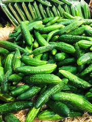 Pile of fresh organic green cucumbers on a market close up