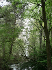 Obraz premium Riviere haute savoie alpes