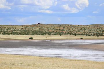 Słone jezioro na pustyni Kalahari - obrazy, fototapety, plakaty