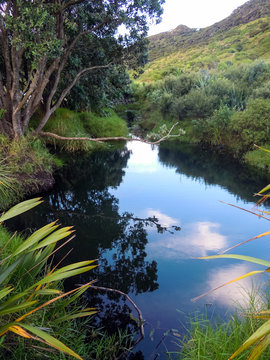 Idyllic nature of Northland, New Zealand - Stock Image