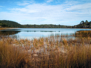 Kai Iwi Lake, New Zealand - Stock Image