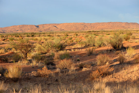 Pustynia Kalahari w rejonie rzeki Orange