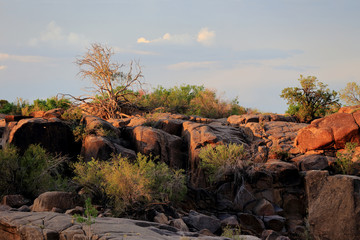Pustynia Kalahari w rejonie rzeki Orange