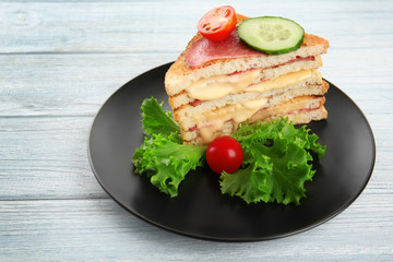 Tasty sandwich with cheese and sausage on plate