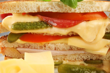 Tasty sandwich with cheese and sausage, closeup