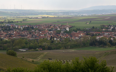 blick &uuml;ber gau-odernheim vom petersberg