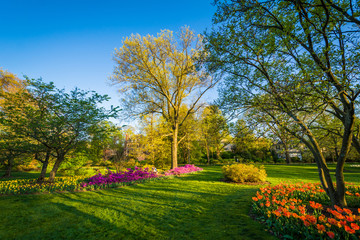 Naklejka premium Colorful flowers and trees at Sherwood Gardens Park in Guilford, Baltimore, Maryland.