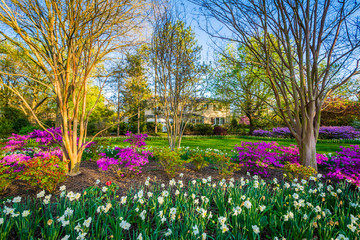 Colorful flowers and trees at Sherwood Gardens Park in Guilford, Baltimore, Maryland.