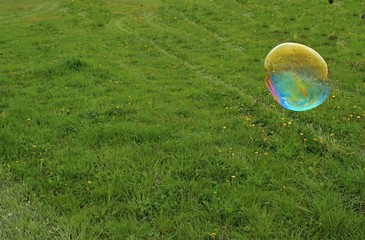 Bubble Blowing bubble on meadow.