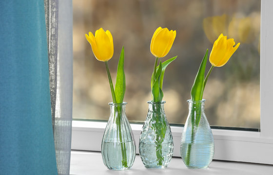 Glass vases with beautiful tulips on windowsill
