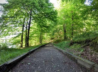 Leurza natural park in Navarra
