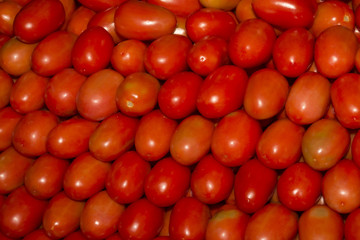 Tomatoes